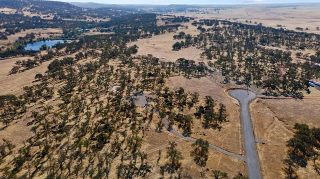 a view of snow on a tree