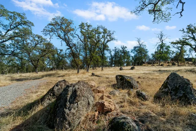 a view of field with trees in the background