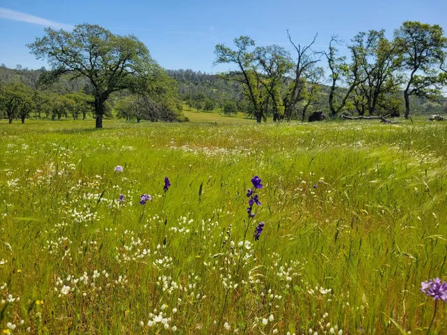 a view of covered with snow