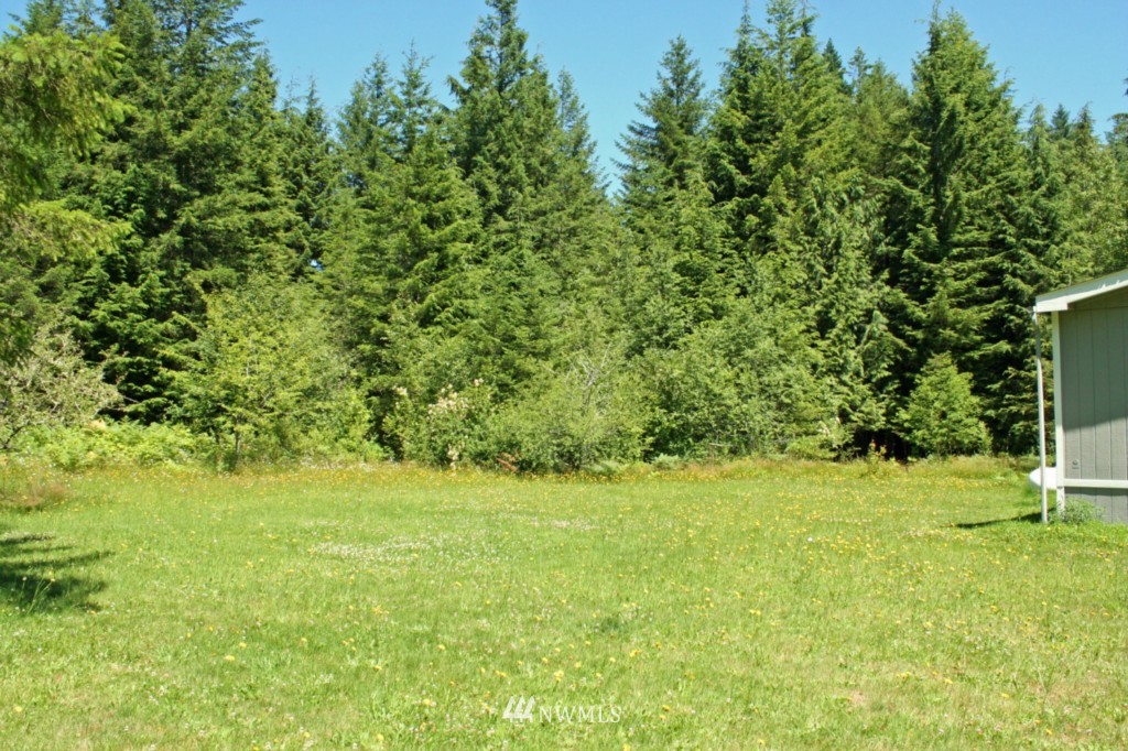6260 South Pass Road Maple Falls, WA 98266 - Photo 3 of 25