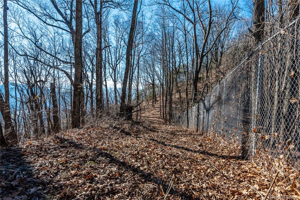 0 Winding Ridge Road Asheville, NC 28803 - Photo 11 of 22 Gallery Image 11