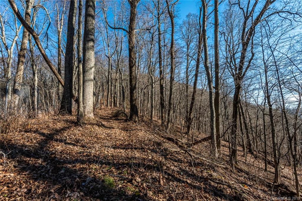 0 Winding Ridge Road Asheville, NC 28803 - Photo 12 of 22 Gallery Image 12