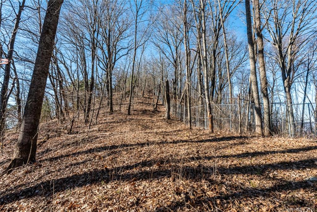 0 Winding Ridge Road Asheville, NC 28803 - Photo 13 of 22 Gallery Image 13