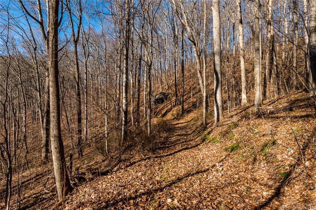 0 Winding Ridge Road Asheville, NC 28803 - Photo 14 of 22 Gallery Image 14