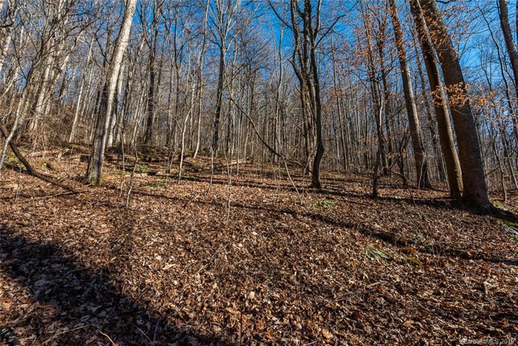 0 Winding Ridge Road Asheville, NC 28803 - Photo 15 of 22 Gallery Image 15