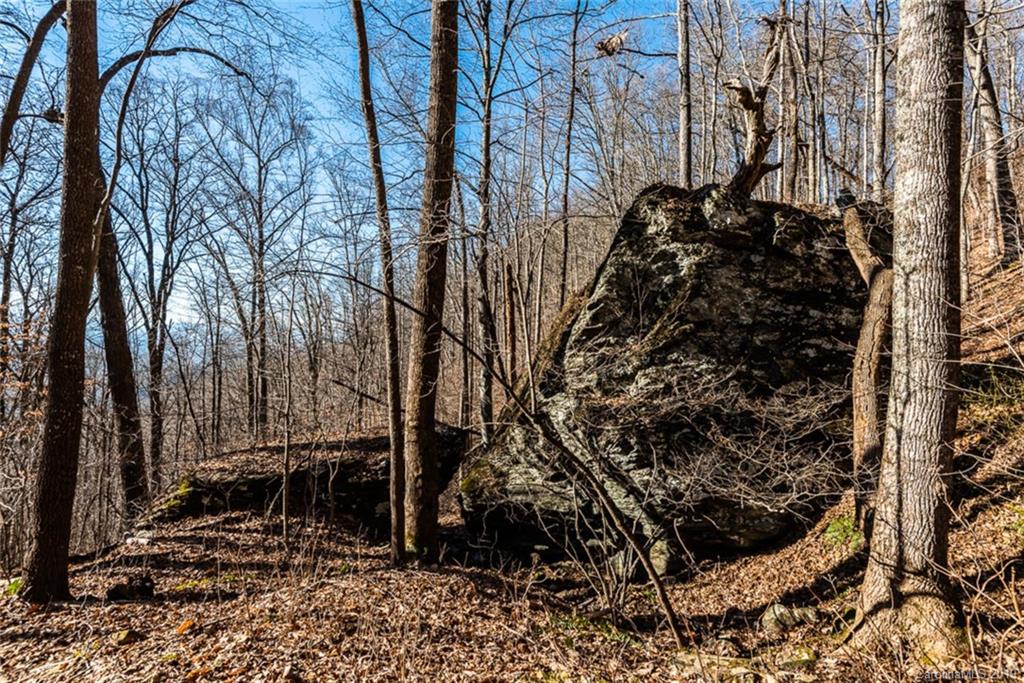 0 Winding Ridge Road Asheville, NC 28803 - Photo 16 of 22 Gallery Image 16