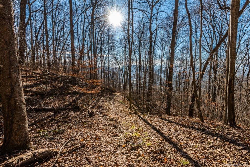 0 Winding Ridge Road Asheville, NC 28803 - Photo 17 of 22 Gallery Image 17