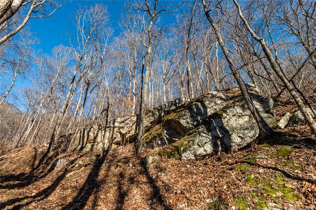 0 Winding Ridge Road Asheville, NC 28803 - Photo 18 of 22 Gallery Image 18