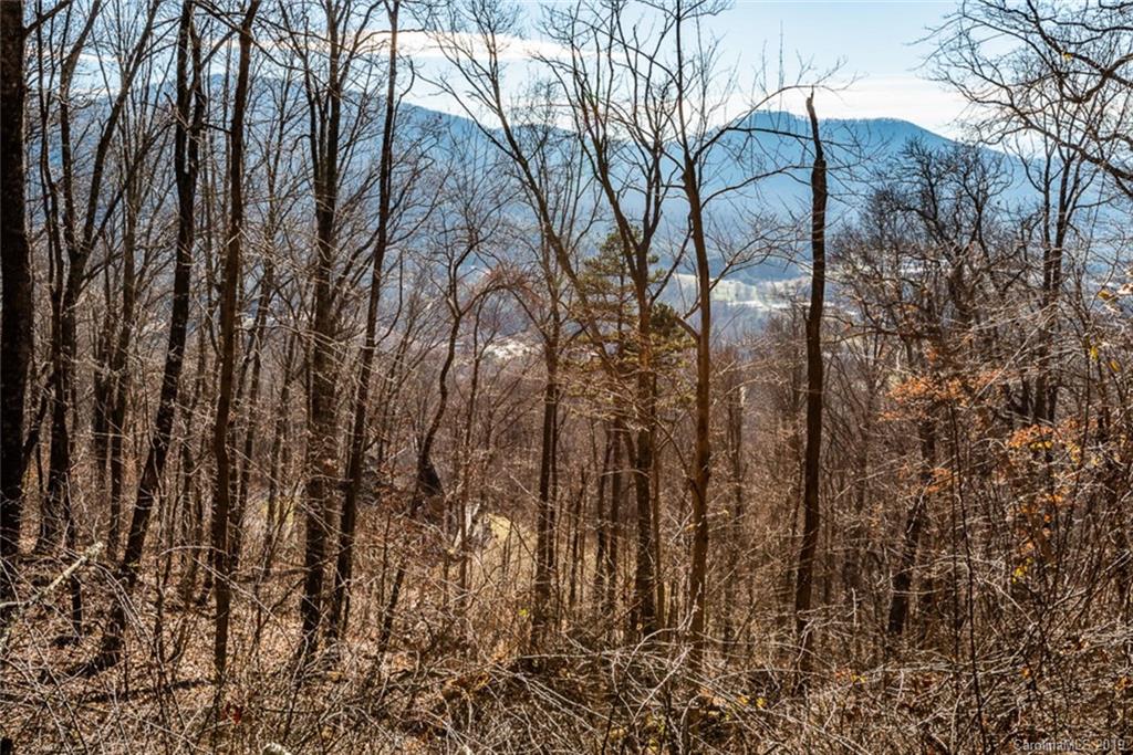 0 Winding Ridge Road Asheville, NC 28803 - Photo 19 of 22 Gallery Image 19