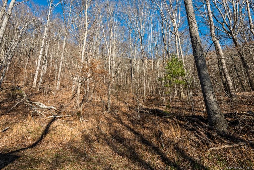 0 Winding Ridge Road Asheville, NC 28803 - Photo 20 of 22 Gallery Image 20