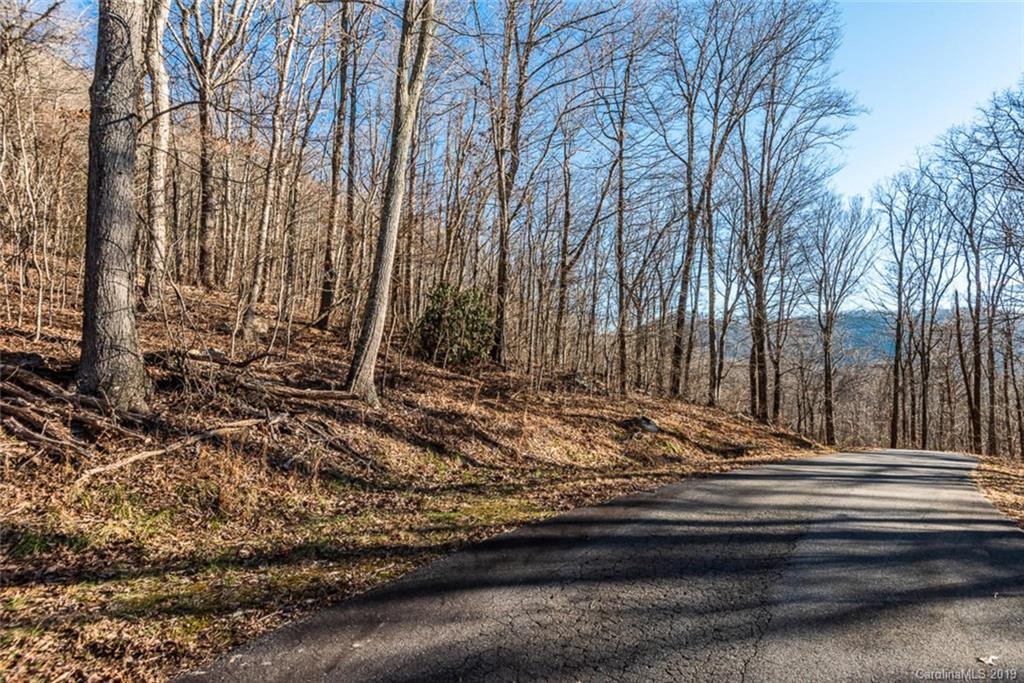 0 Winding Ridge Road Asheville, NC 28803 - Photo 21 of 22 Gallery Image 21