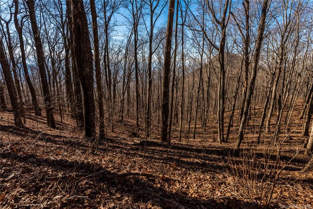 0 Winding Ridge Road Asheville, NC 28803 - Photo 8 of 22 Gallery Image 8