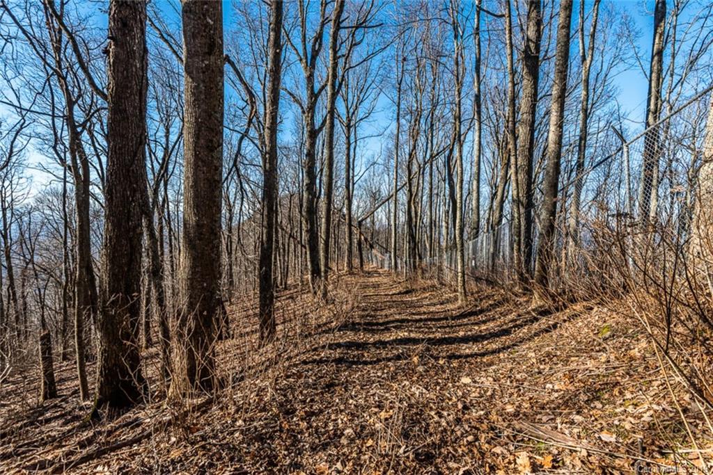 0 Winding Ridge Road Asheville, NC 28803 - Photo 10 of 22 Gallery Image 10