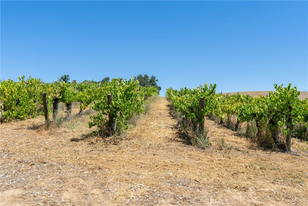 7568 Creston Road Paso Robles, CA 93446 - Photo 57 of 57