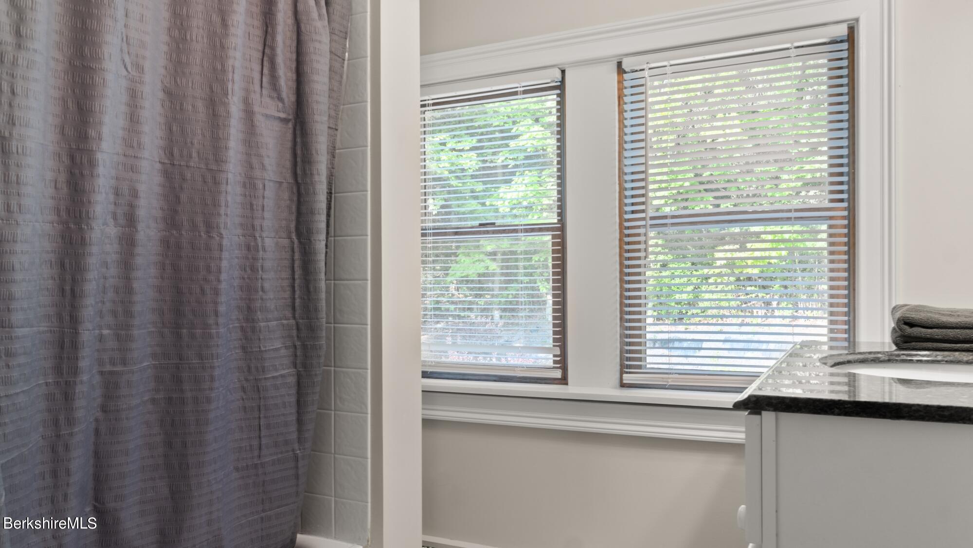 320 Laurel Street Lee, MA 01238 - Photo 20 of 24 Upstairs bath (2)