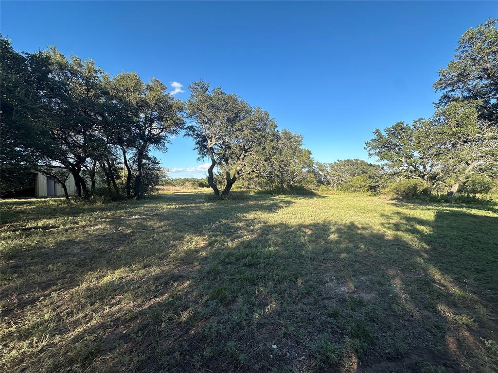 1868 Highway 84 Zephyr, TX 76890 - Photo 13 of 40 a view of a yard with a tree