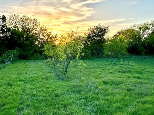 a view of a lush green space