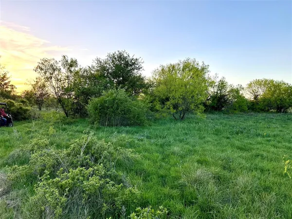 a view of park