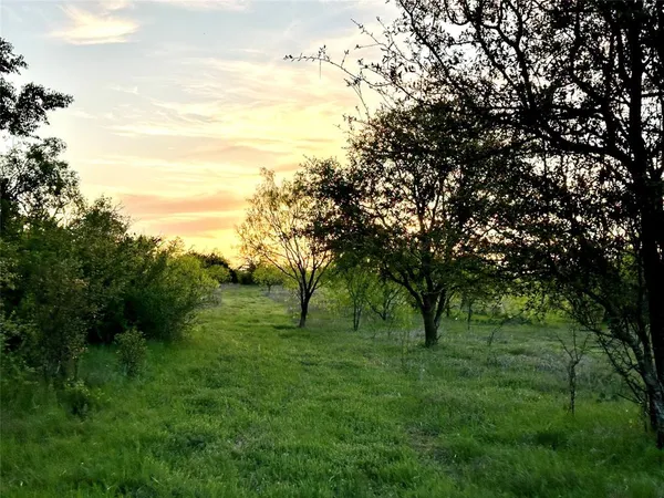 a view of a green yard