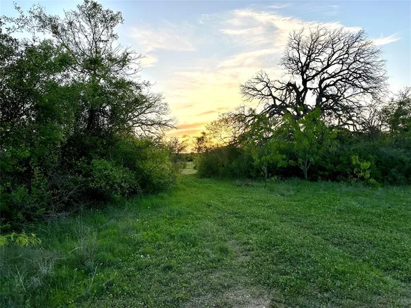 a view of a grassy field with trees in the background