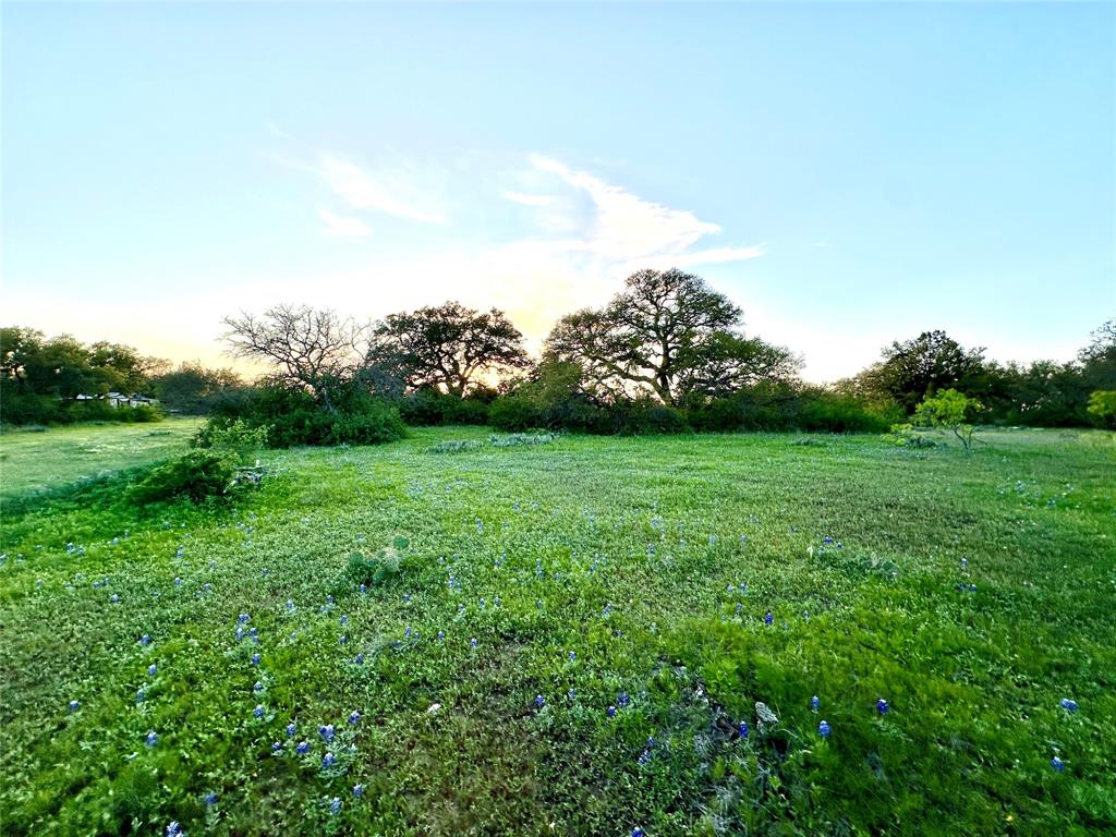 1868 Highway 84 Zephyr, TX 76890 - Photo 19 of 40 a view of a grassy field with trees in the background