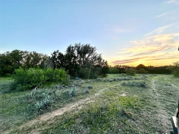 a view of a grassy field with an trees