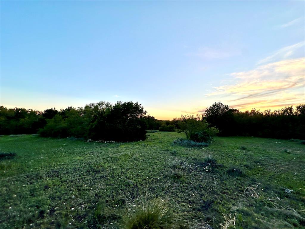 1868 Highway 84 Zephyr, TX 76890 - Photo 22 of 40 a view of a grassy field with an trees