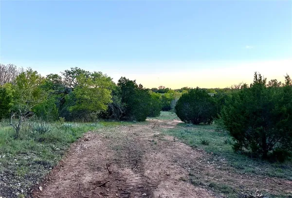 a view of a bunch of trees in a field