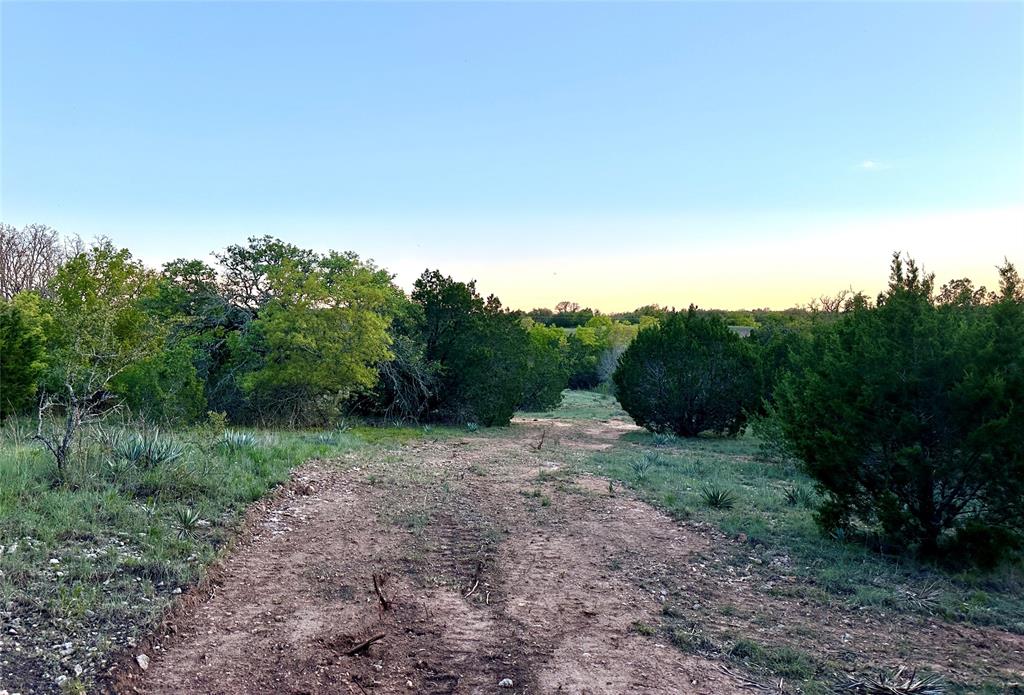 1868 Highway 84 Zephyr, TX 76890 - Photo 25 of 40 a view of a yard with a tree
