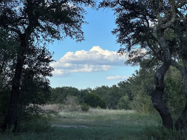 a view of a field of grass and trees