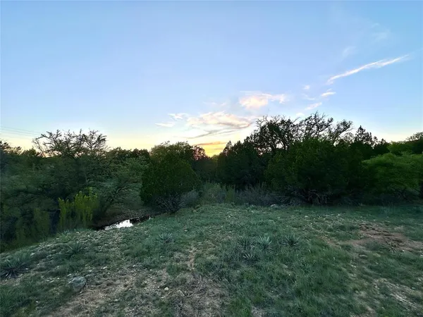 a view of a yard with a tree