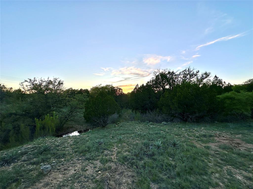 1868 Highway 84 Zephyr, TX 76890 - Photo 27 of 40 a view of a field of grass and trees