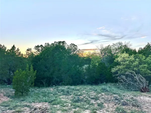 a view of a trees in a field