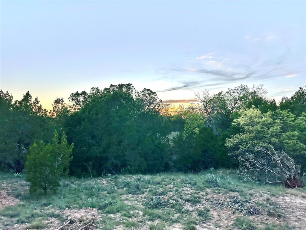 1868 Highway 84 Zephyr, TX 76890 - Photo 29 of 40 a view of a field