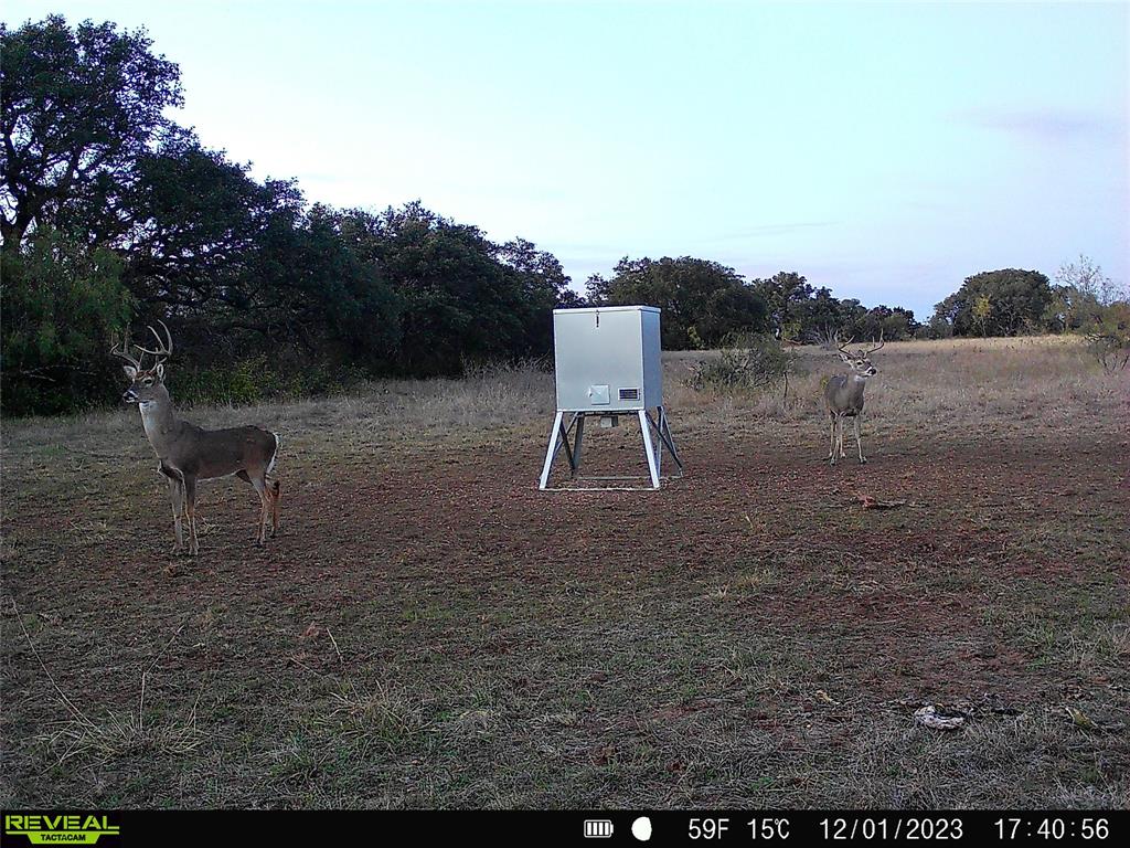1868 Highway 84 Zephyr, TX 76890 - Photo 33 of 40 a backyard of a house with table and chairs