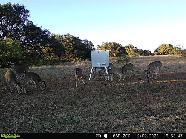 a view of a grassy field with trees in the background