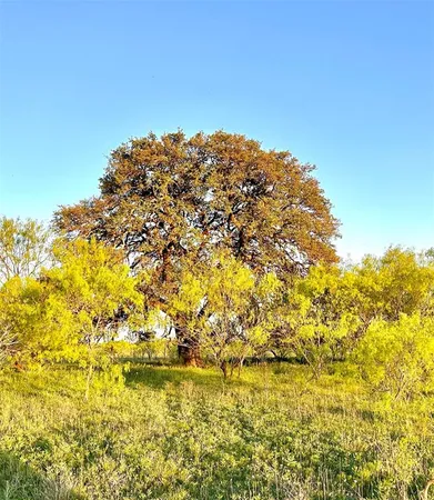 a house with trees in the background