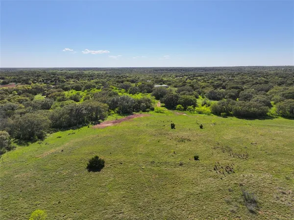 a view of a garden with a tree