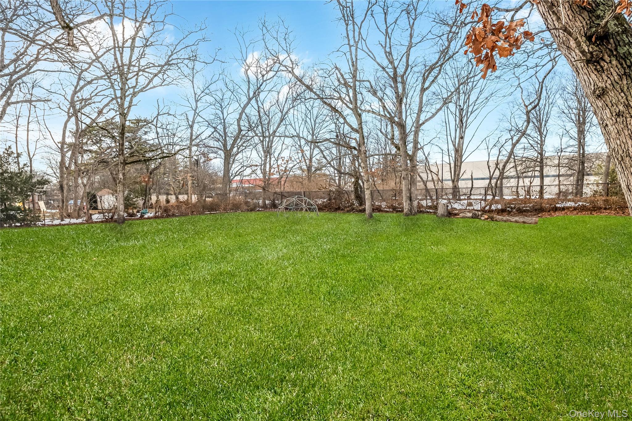 97 Berry Street Lindenhurst, NY 11757 - Photo 4 of 23 a view of a yard with plants and trees