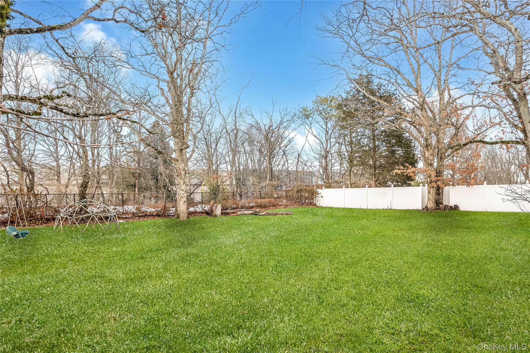 97 Berry Street Lindenhurst, NY 11757 - Photo 8 of 23 a view of yard with tree