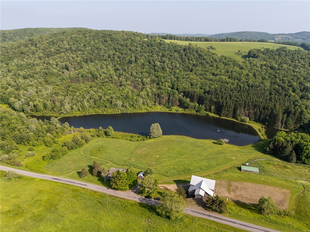 1870 Carey Road Franklin, NY 13775 - Photo 3 of 41