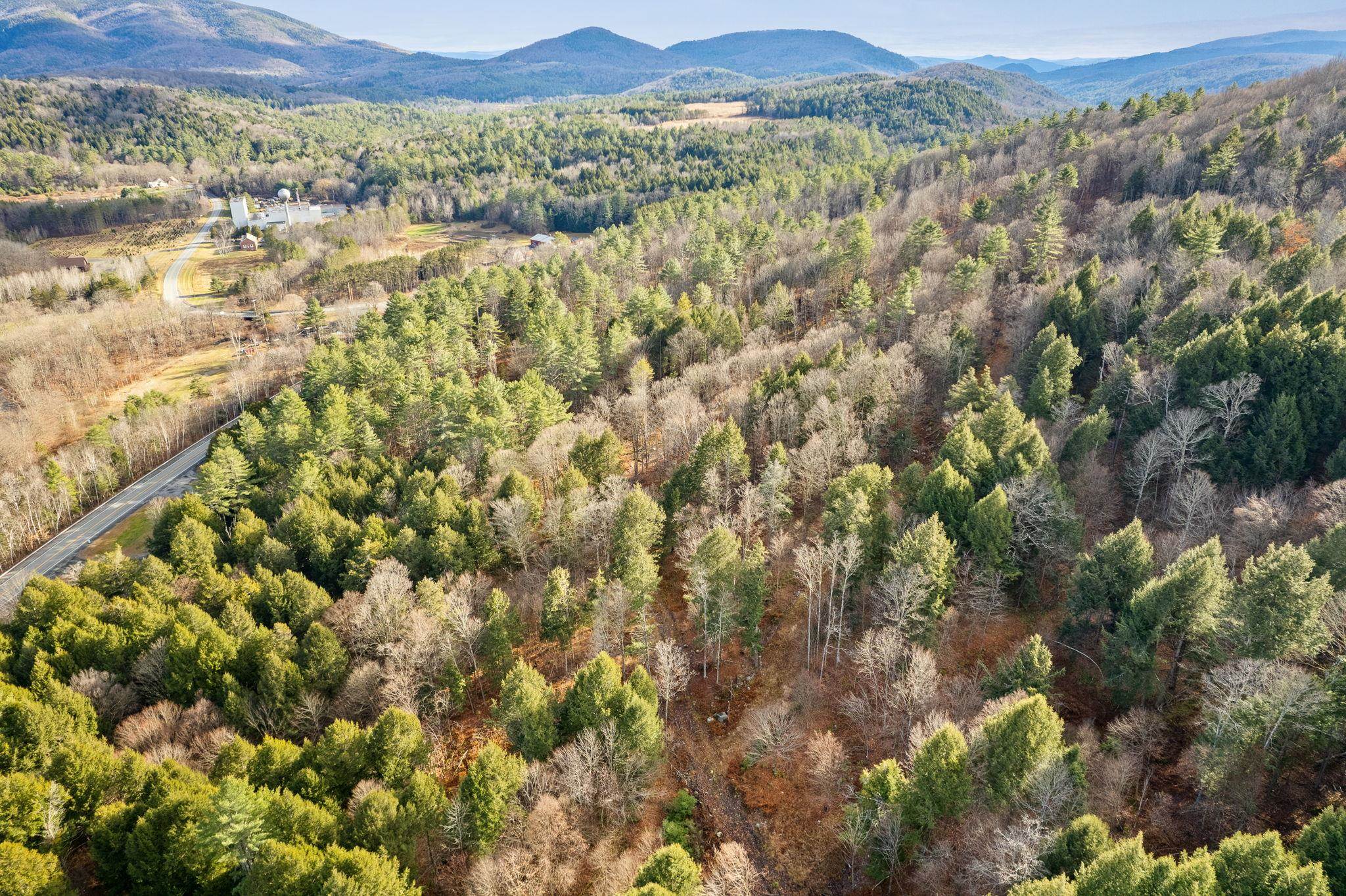 0 Vt Route 106 Reading, VT 05062 - Photo 10 of 11