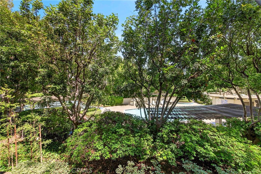 9 Madrona Irvine, CA 92612 - Photo 21 of 38 a view of a yard with plants and trees