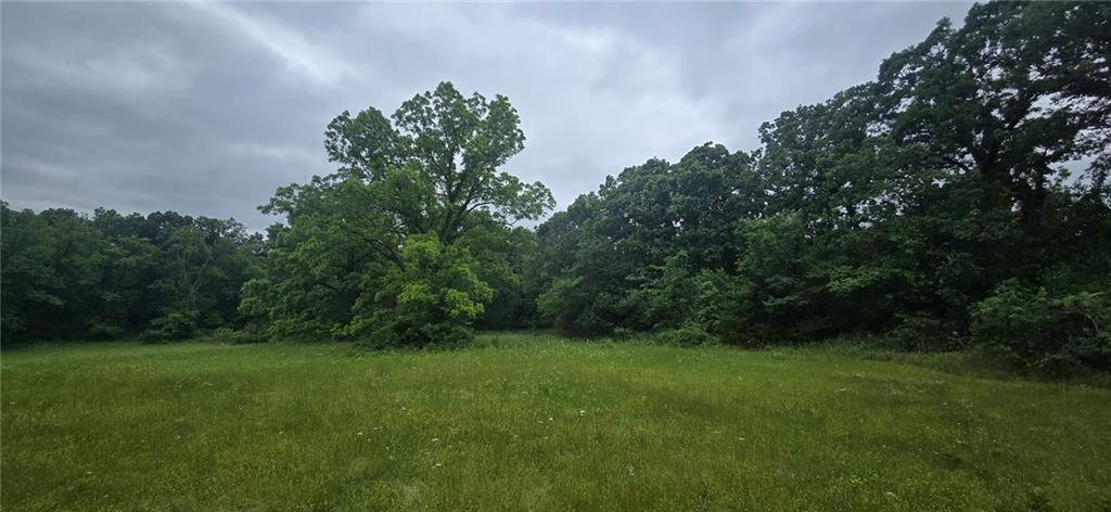 12668 East Panama Road Nevada, MO 64772 - Photo 6 of 8