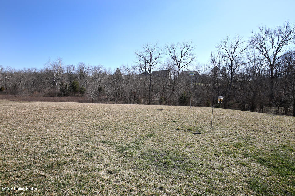 401 Ash Run Road Louisville, KY 40245 - Photo 32 of 32 Ash Run, rear yard