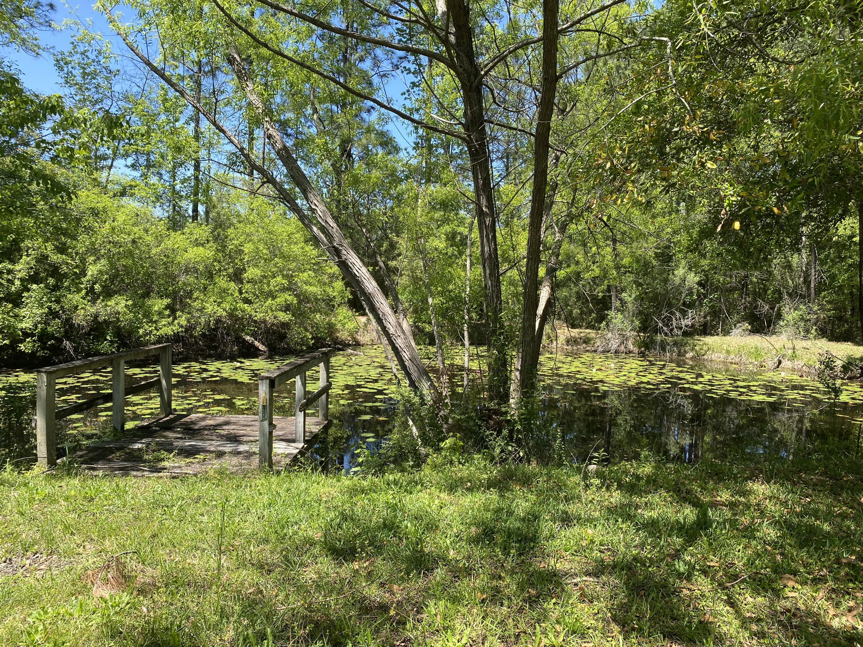 1207 Brake Road Westville, FL 32464 - Photo 45 of 53 1207 BRAKE RD