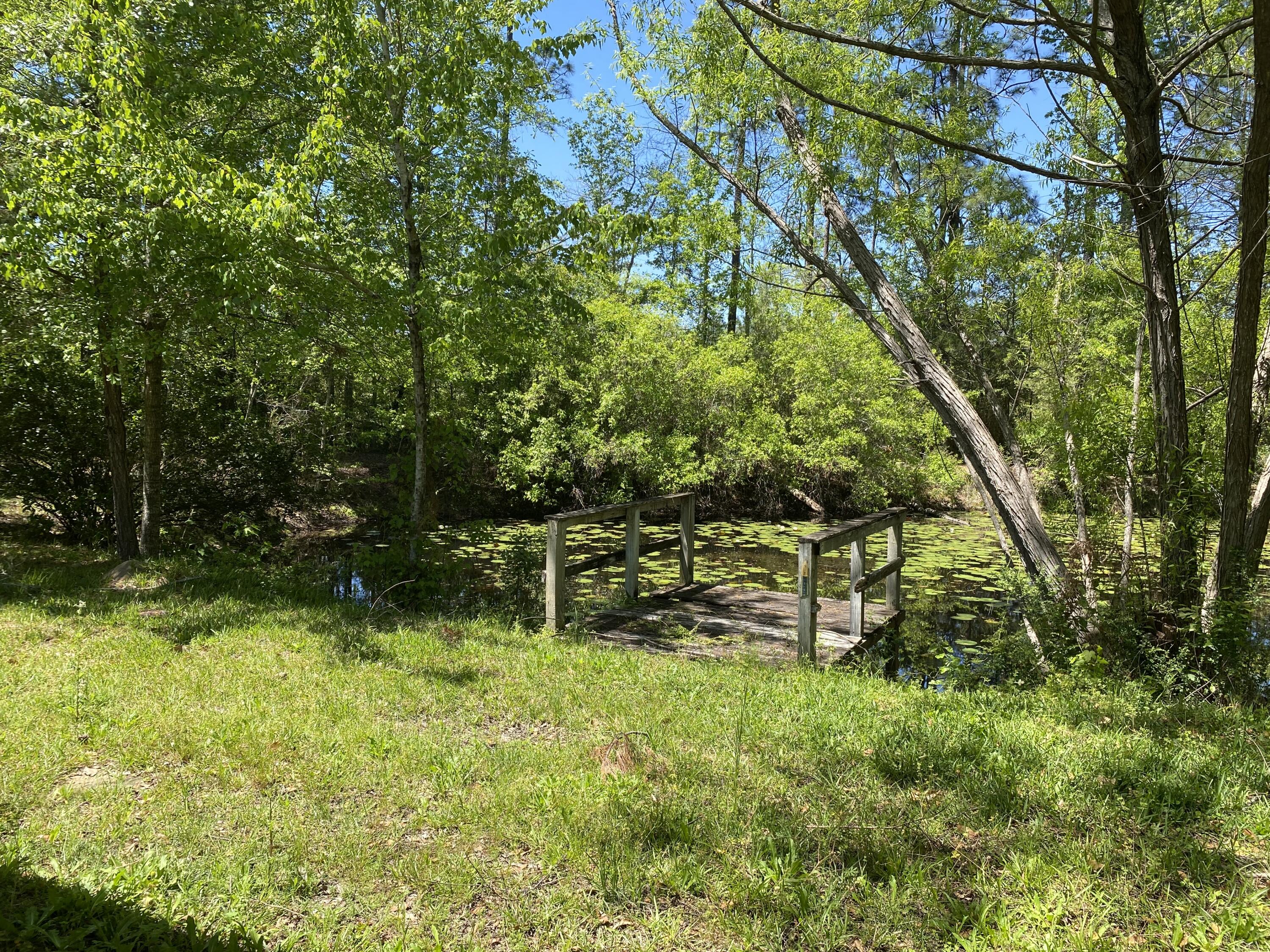 1207 Brake Road Westville, FL 32464 - Photo 46 of 53 1207 BRAKE RD