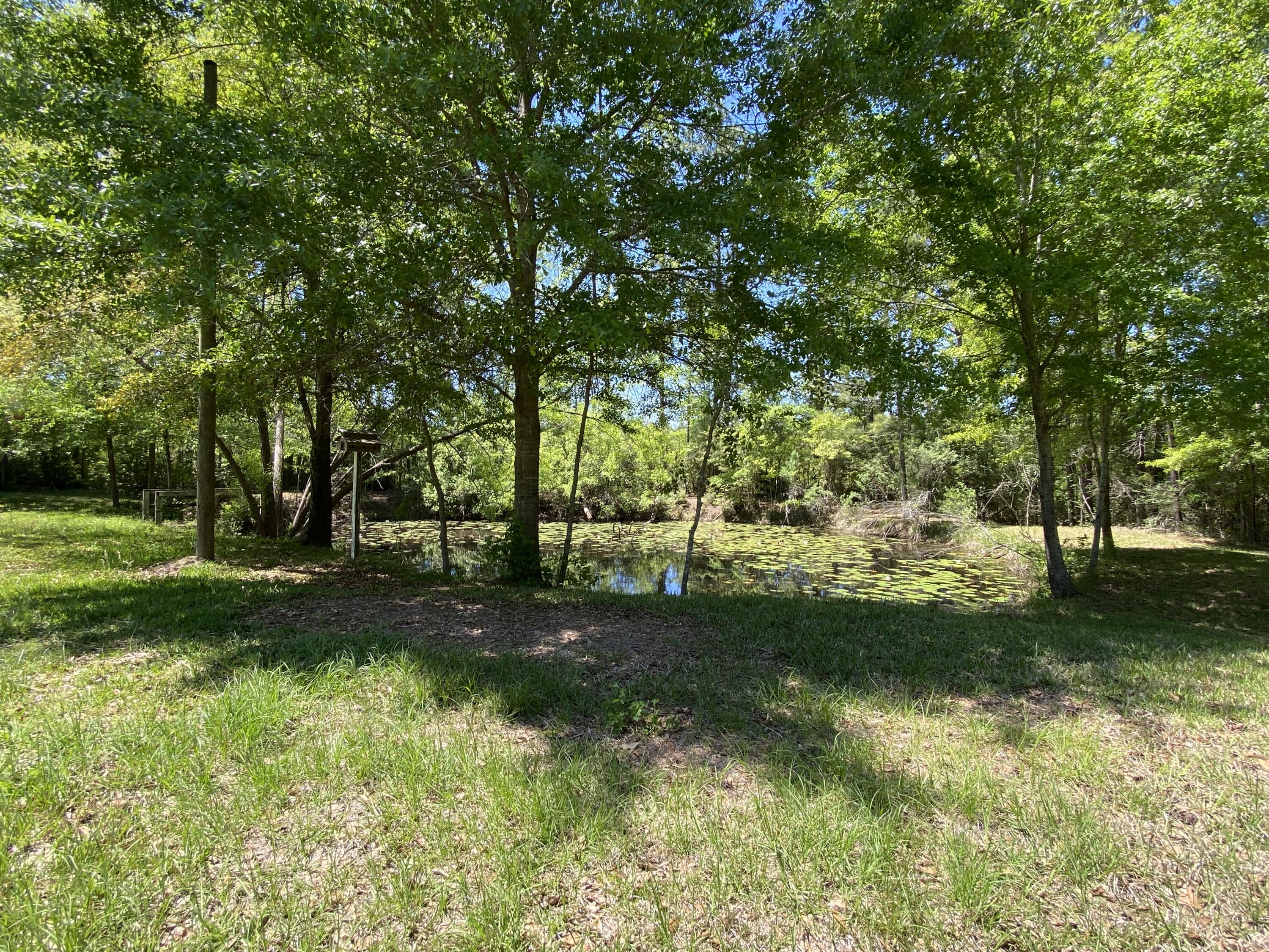 1207 Brake Road Westville, FL 32464 - Photo 50 of 53 1207 BRAKE RD