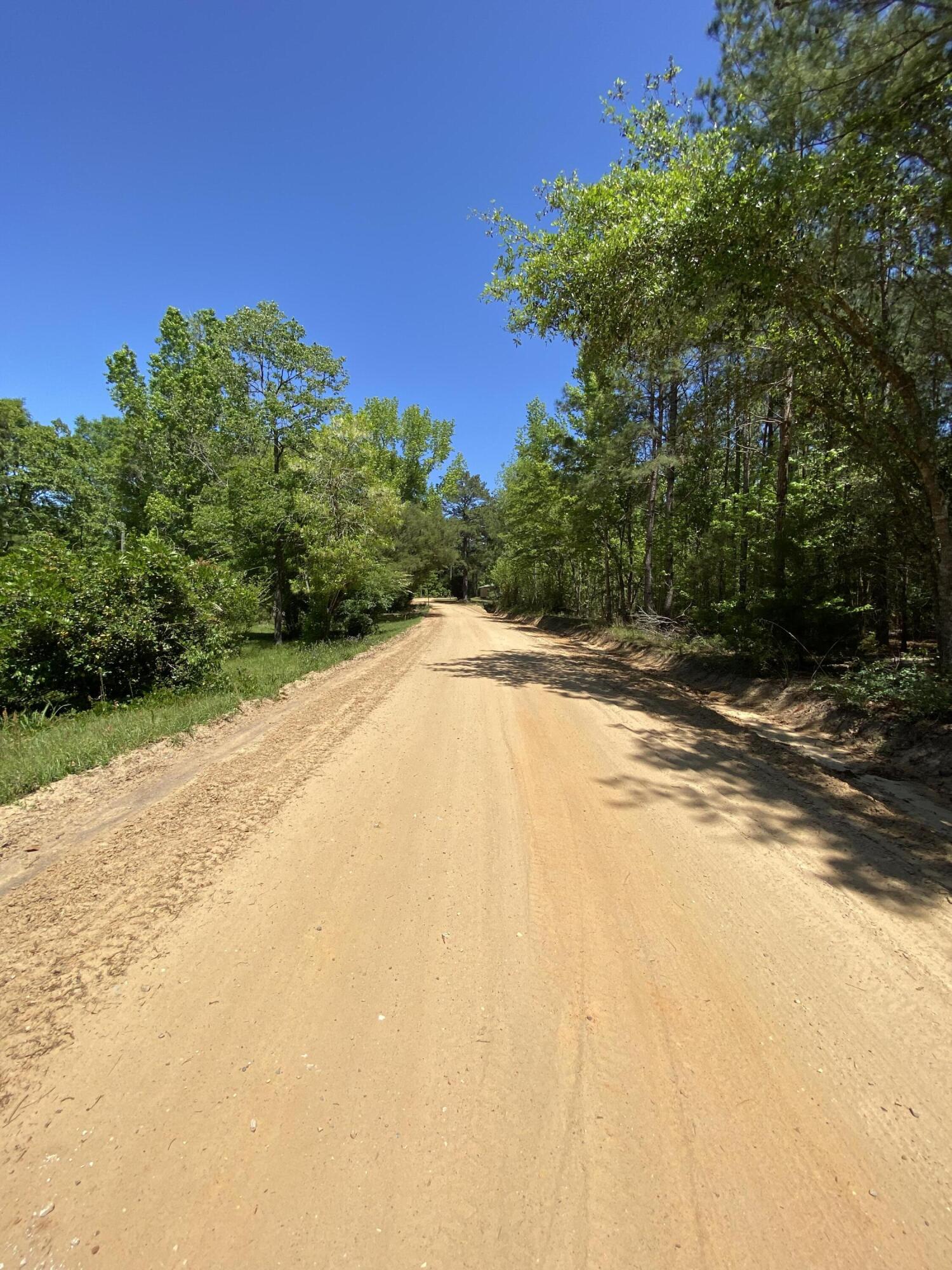1207 Brake Road Westville, FL 32464 - Photo 9 of 53 1207 BRAKE RD