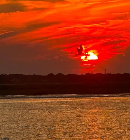 a view of a lake and sunset